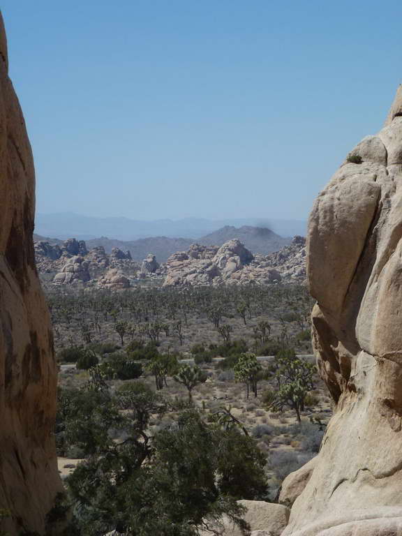 Joshua Tree National Park